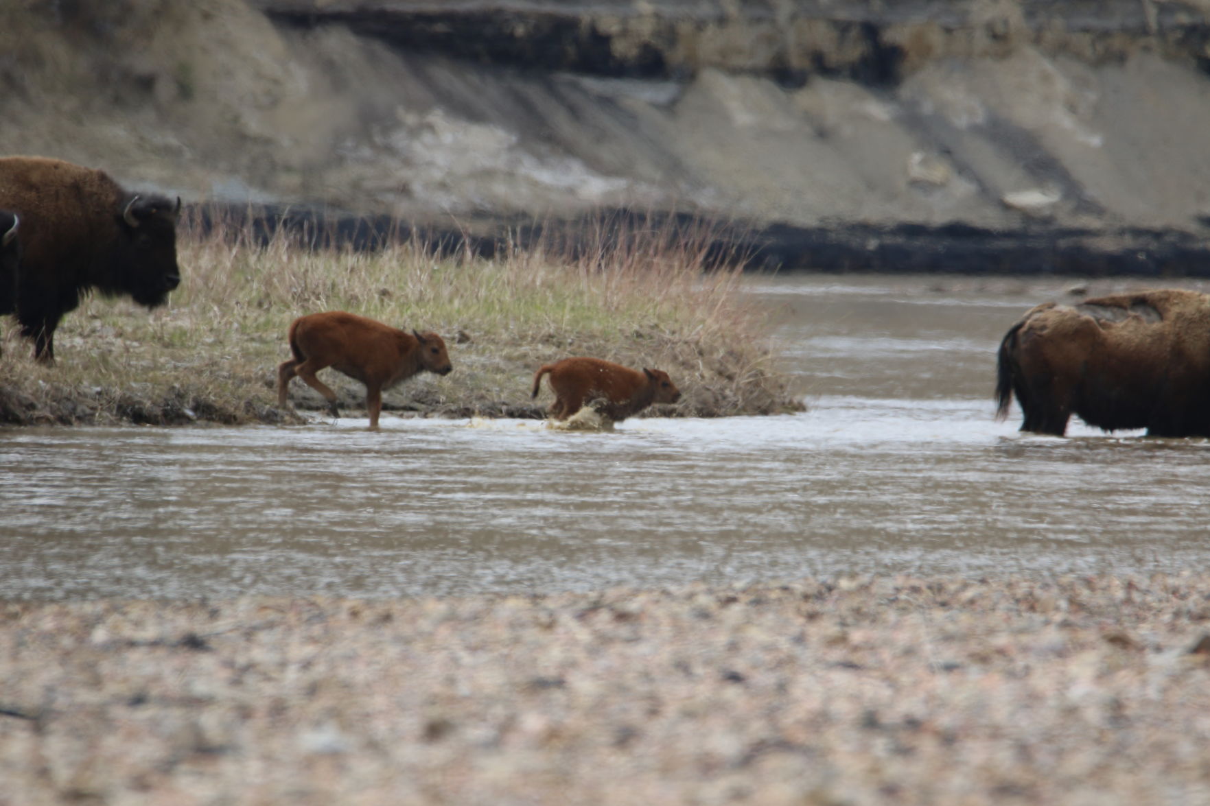 River Crossing